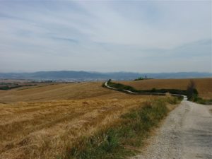 Sendero Del Camino Francés