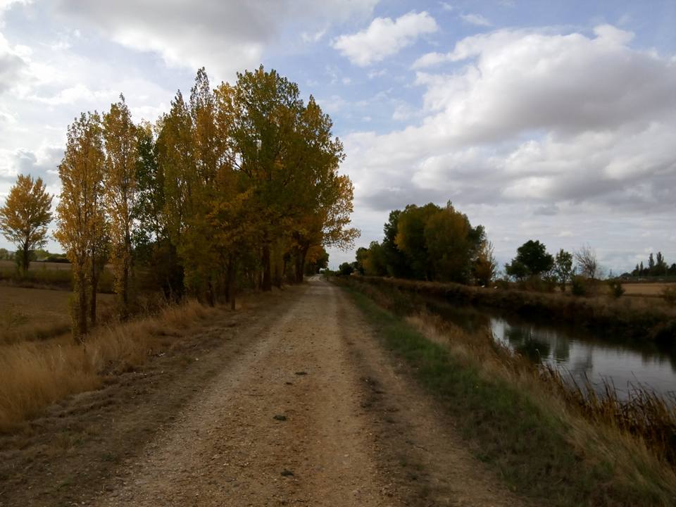 Stage 7: From Burgos To Carrión De Los Condes 13 The Canal De Castilla In Autumn Near Frómista, Stage 7 Of The French Way