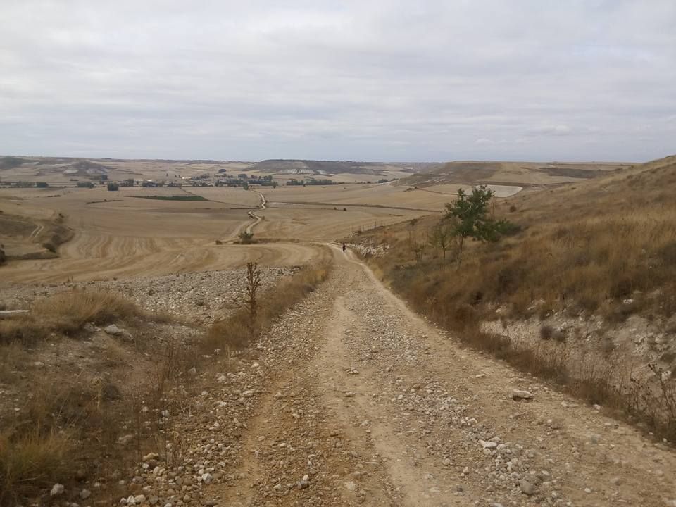 Stage 7: From Burgos To Carrión De Los Condes 3 The Descent To Hornillos Del Camino On Stage 7, Called Matamulos