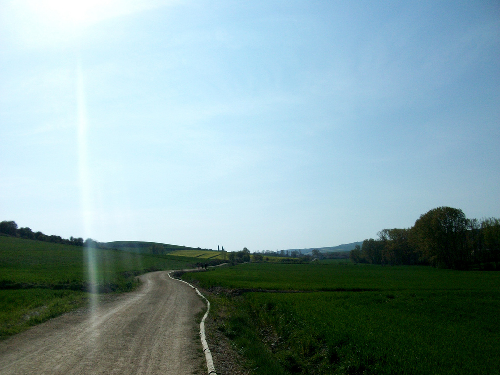 The Trail Through The Montes De Oca Forest On Stage 6 Of The Camino Francés