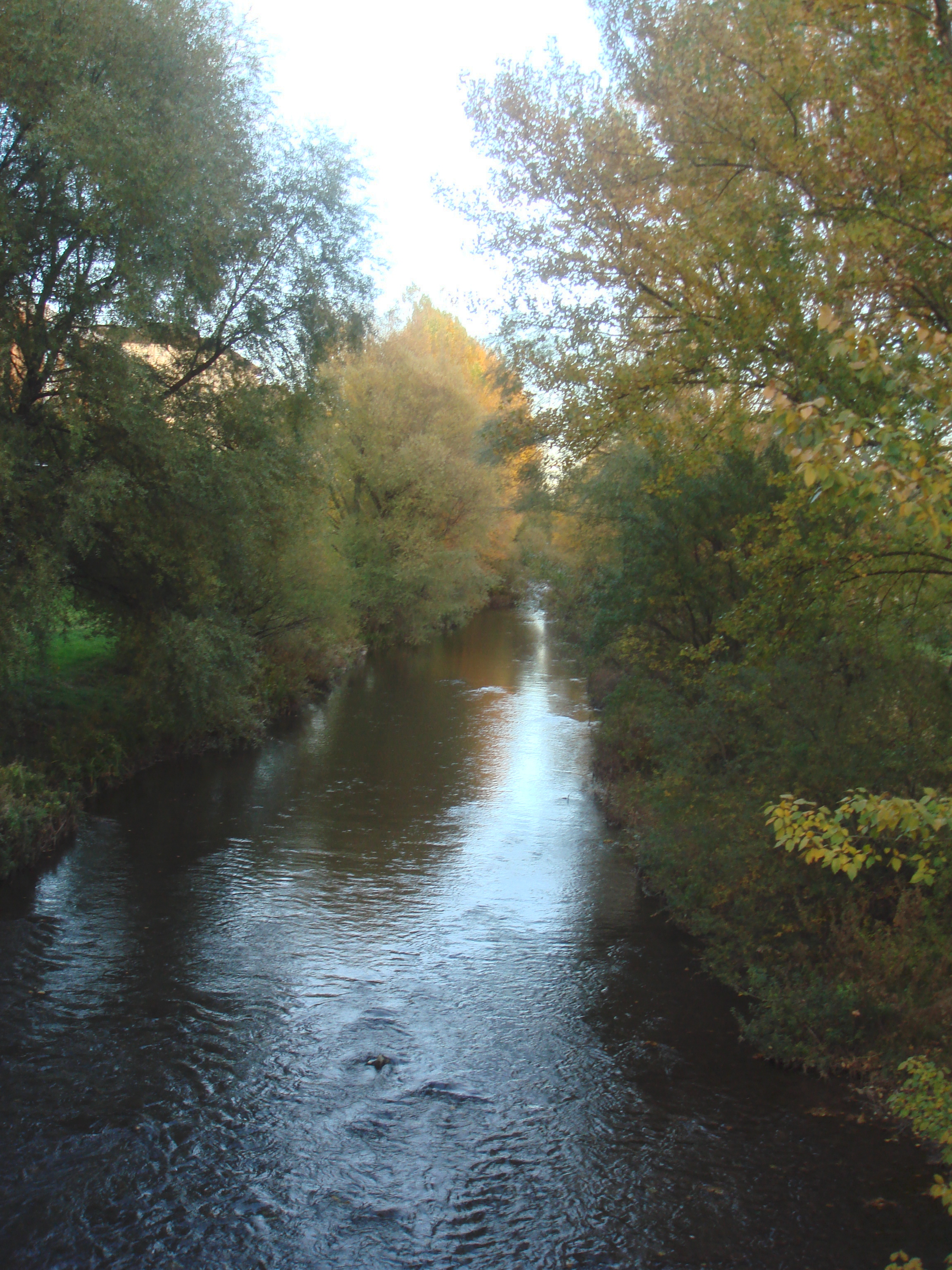 The Arlanzón River Park Approach To Burgos On Stage 6 Of The French Way