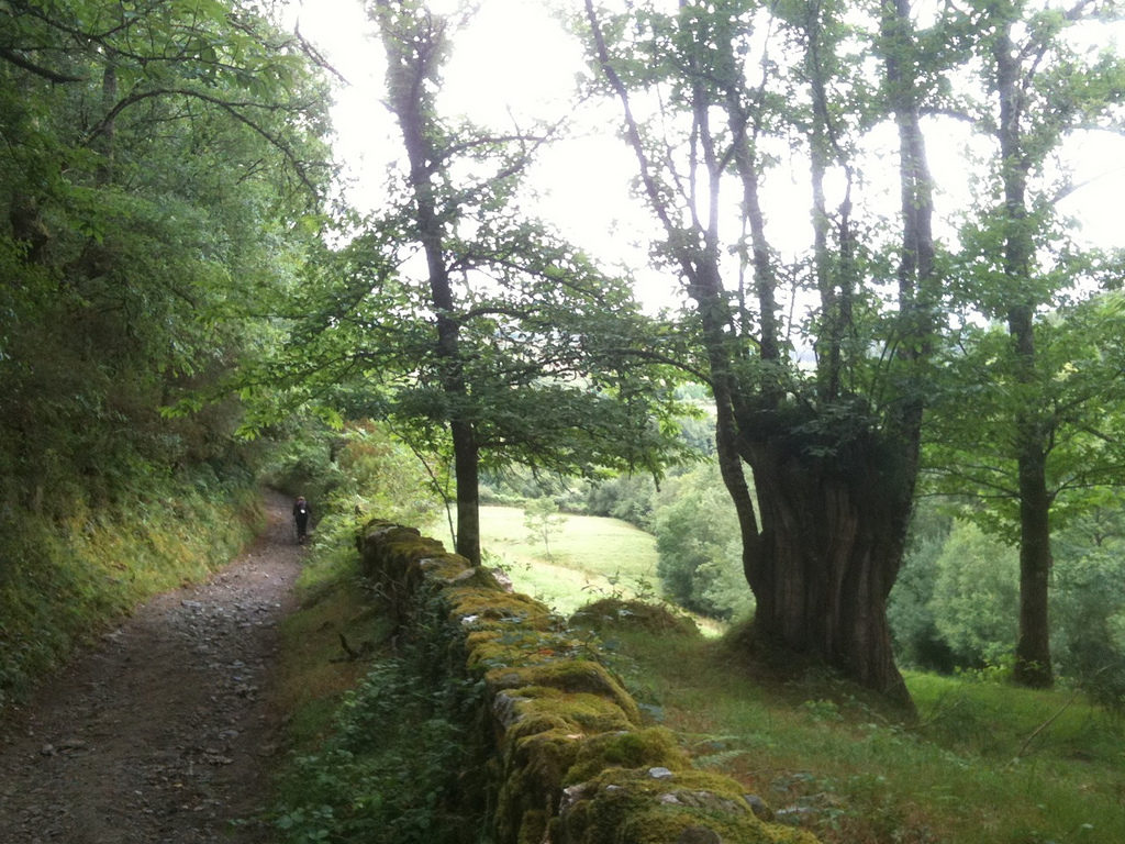O Cebreiro → Sarria En Bici — 40–46 Km | Etapa 12 Camino Francés 8 Camino Desde Triacastela A San Xil Por Las Corredoiras — Etapa 12