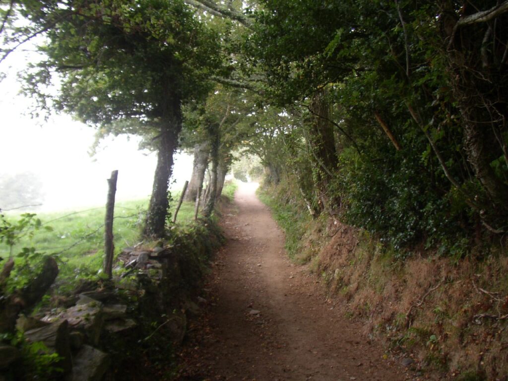 O Cebreiro → Sarria En Bici — 40–46 Km | Etapa 12 Camino Francés 5 Una Corredoira Cerca De Ramil — El Camino Hundido Gallego Entre Robles Centenarios