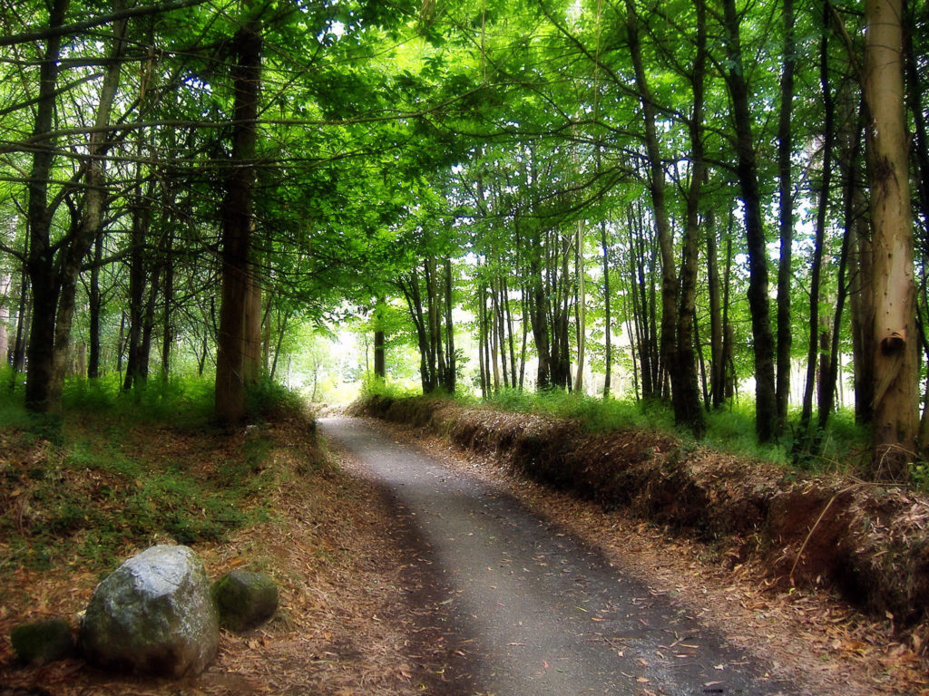 O Cebreiro → Sarria En Bici — 40–46 Km | Etapa 12 Camino Francés 2 El Camino Francés En Galicia Por Los Valles Verdes De Los Ancares