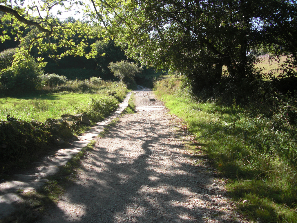 The Path Between Sarria And Portomarín On Stage 13 Of The French Way