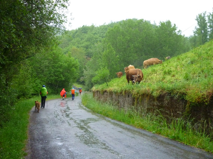 Ponferrada → O Cebreiro En Bici — 52 Km | Etapa 11 Camino Francés 7 Vega De Valcarce Con El Castillo De Serracín En La Ladera — Etapa 11
