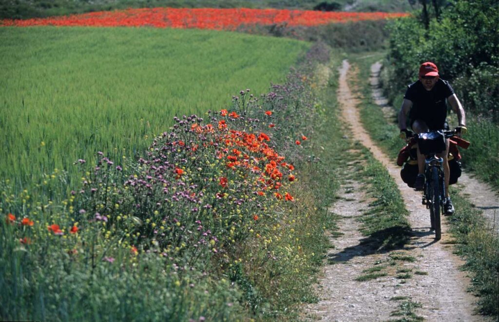 Aluguel De Bicicletas Caminho Português 1 48 | Aluguer Bicicletas &Amp; E-Bikes - Caminho De Santiago Espanha/Portugal