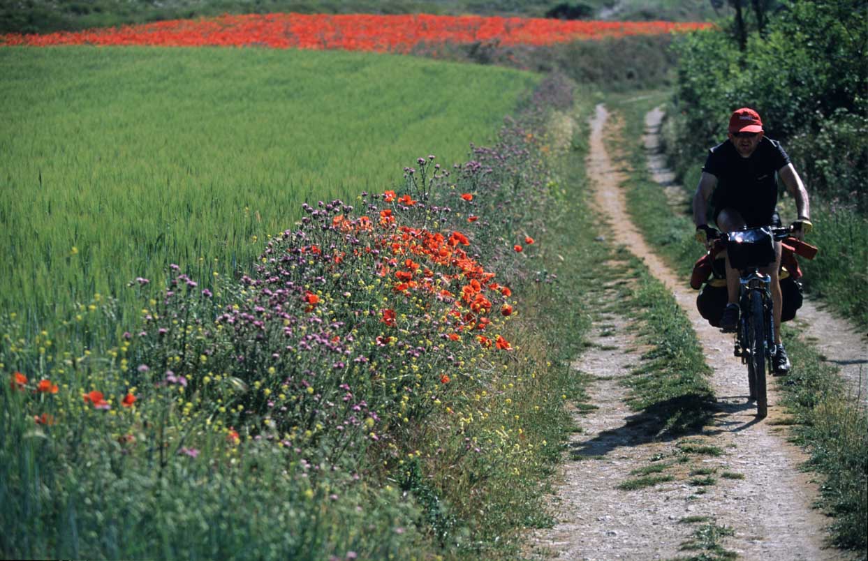 Buen Camino By Checco Zalone: The Real Camino De Santiago, And How To Do It By Bike 3 Cyclist On The Camino De Santiago Beside A Field Of Poppies