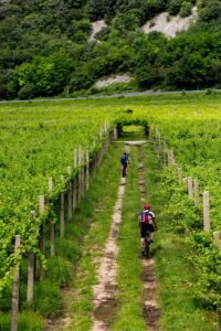 Caminho De Santiago De Bike: Tour Guiado Ou Aluguel Por Conta Própria? 1 Dois Ciclistas Fazendo O Caminho De Santiago Por Conta Própria
