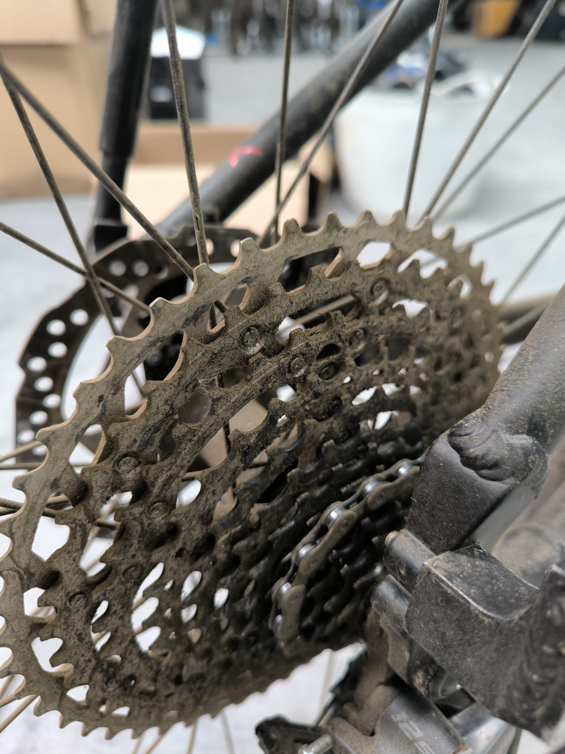 Cassette Before Biodegradable Bike Cleaning, After 700 Km On The Camino Francés